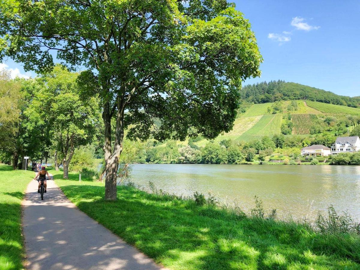 Am Moselradweg Zell an der Mosel