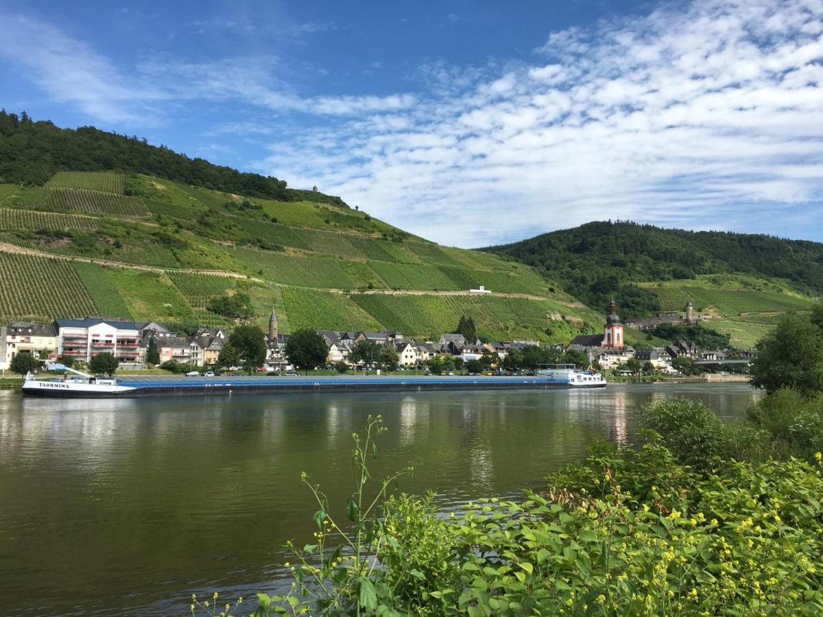 Apartment Am Moselradweg Zell an der Mosel