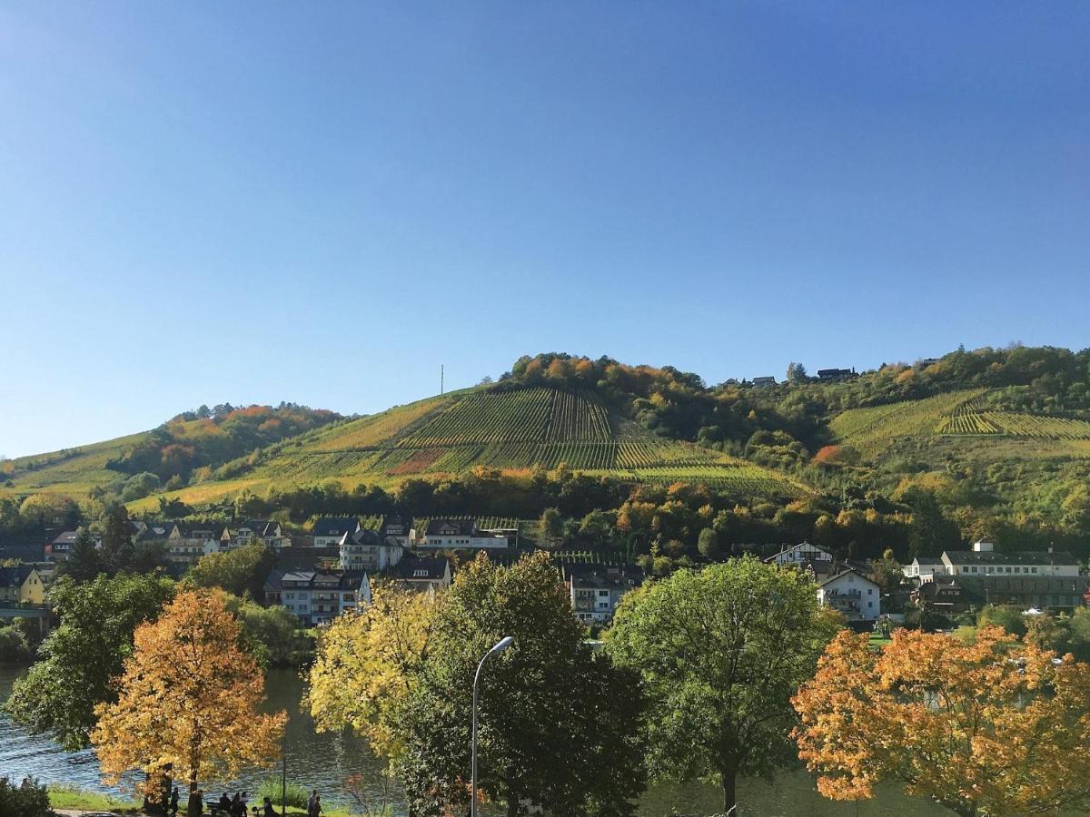 Apartment Am Moselradweg Zell an der Mosel