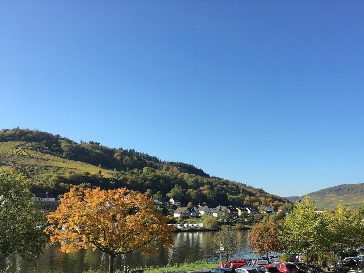 Am Moselradweg * Zell an der Mosel